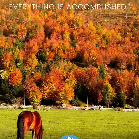 Heldi Eco Апартаменты Dragobi