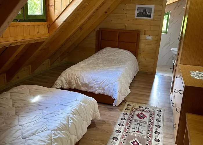 Apartment Heldi Eco Dragobi