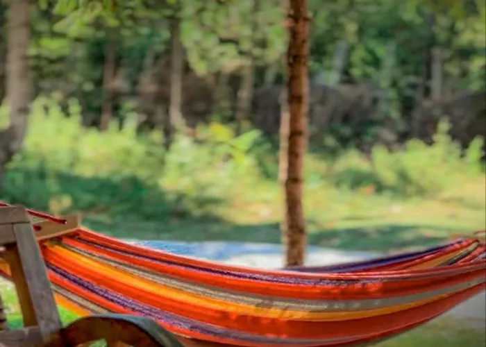 Apartment Heldi Eco Dragobi