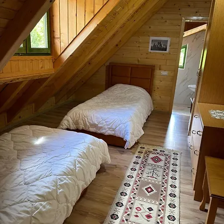 Apartamento Heldi Eco Dragobi