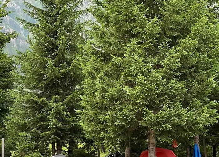 Διαμέρισμα Heldi Eco Dragobi