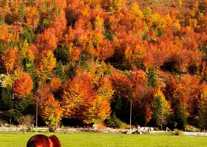 Heldi Eco Διαμέρισμα Dragobi