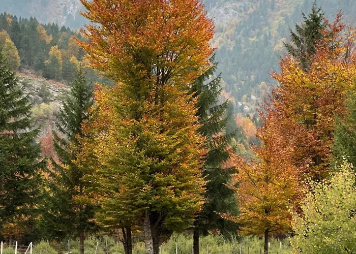 Διαμέρισμα Heldi Eco Dragobi